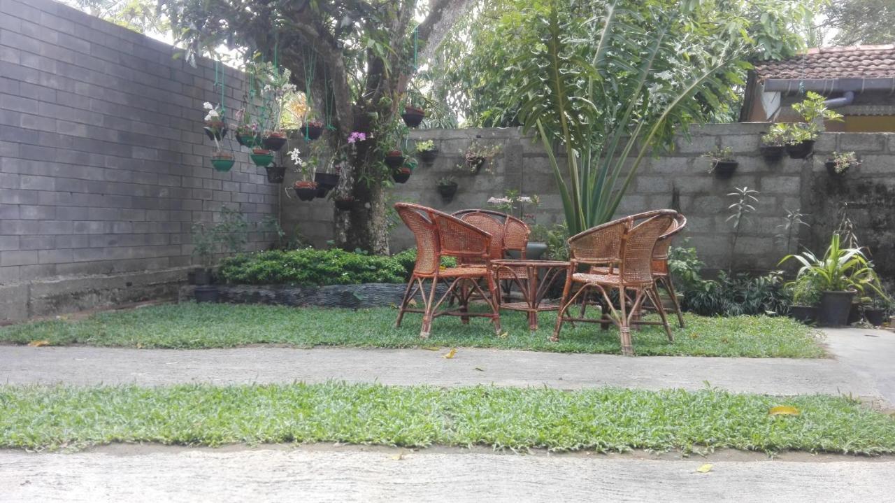 Mango Roots Apartment Gampaha Exterior photo